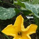 정경진한의원 이미지