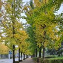 미덕펜션 이미지