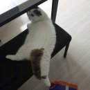 맘스터치박달 이미지