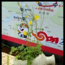 스파밸리 이미지