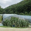 한농유기농 건강체험마을 이미지