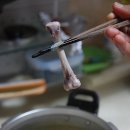 솥에닭 이미지