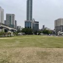 시청앞 미관광장 이미지