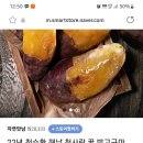 자연맛남 해남 고구마3kg한입 7,800~ 이미지