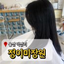 울산 덕신 미용실 추천 정이미장원 레이어드 컷 잘하는 곳