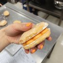 스시벅스연어가맛있는 이미지