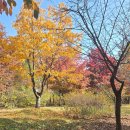 마두도서관 동아리방 | [동네 탐방] 고양시립 마두도서관