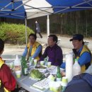 서울전자고등학교 Daum카페