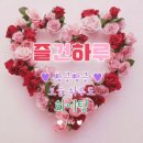 꽃선물 드립니다 이미지