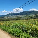 동면사무소 이미지