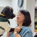 대신동물병원 이미지