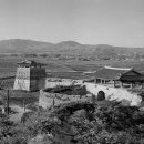 수원-1950 이미지