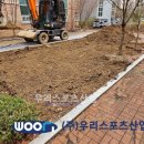 미사중앙초등학교 이미지