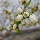 하날농장 이미지