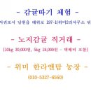 엄지농장 이미지