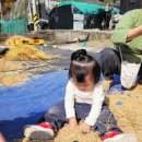 선리마을 이미지