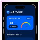 핀브릿지 이미지