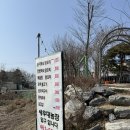 [의왕]벚꽃필 날이 기다려지는 왕송호수 산책 맛집 (feat,의왕레일바이크)