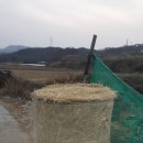 신의농장 이미지