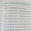 영분야채