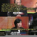오늘의 강아지 이미지