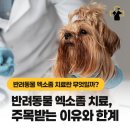 파발로151번길 이미지