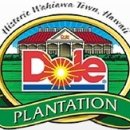 돌속농장 이미지