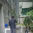 에어컨청소로 상쾌해진 우리 집, 클린베어 남양주점 후기