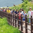 월악산국립공원 단양분소 이미지