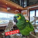 순창 앵무새팜 | 순창아기랑 가볼만 한곳 순창앵무새팜