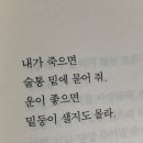 밥.술 이미지