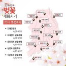 개화(아) 이미지