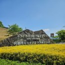 트라이얼CC 아소코스 구마모토 골프 라운딩 후기