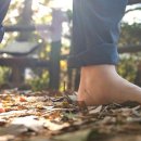 숲속의 펜션 이미지