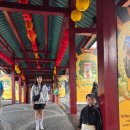 돈도깨비 | 돈이 전혀 아깝지 않았던 완벽한 다낭 바나힐 투어 후기 (feat. 다낭도깨비)