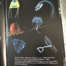 깊은바다 이미지