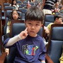 [6월 2주] 인형극🧸 &amp; 미술 - 우리동네기관🏩 &amp; 꼬마정원사🪴 &amp; 독서왕👑 이미지