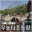 20.05.13 파주 우농타조농장 / 23개월 아기랑 먹이주기 체험 후기