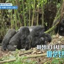 투어리즘인사이트 이미지
