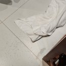 진부띠그 | 베트남 후에(Hue) 메그놀리아 부띠끄 호텔 Magnolia Boutique Hotel Hue 솔직후기