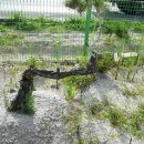 미완성농장 이미지