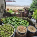 바위섬소도 이미지