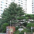 호수마을공인중개사사무소 이미지