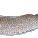 정가네 큰 왕갈비탕 이미지