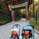 용문체육공원 | 2025 양평 꽃구경 봄 나들이 코스 추천 (with 갈산공원,용문사,문릿,스타벅스,용문사,갓플레이스 피자)