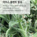 (주)하나플랜트 이미지
