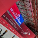 2025 핸드볼 국가대표 한·일전 직관 후기