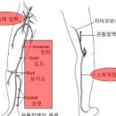 하지 다리 부종 원인 다리가 붓는 이유 및 관리 이미지