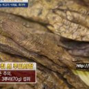 알토란영농조합법인 티스토리