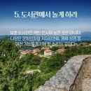 부모독서코칭 이미지